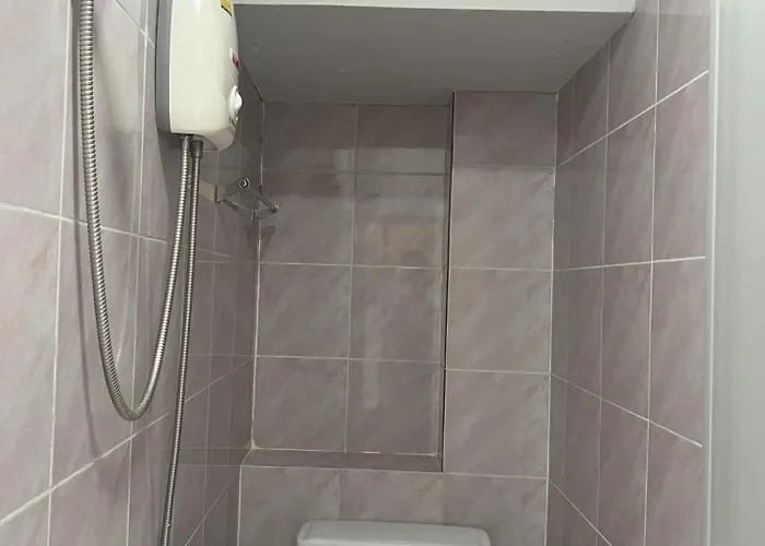 Bella Bella House 招待所